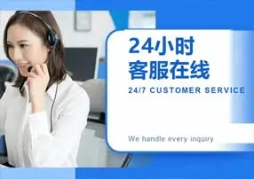 Professional Service